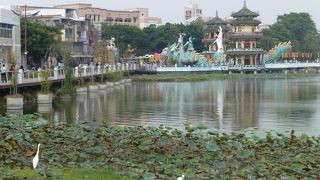 `蓮・白鷺`と`周囲の建屋`