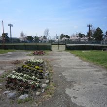 花壇と野球場