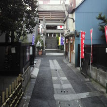小路と鳥居の向こうに烏森神社の神殿が見えます。