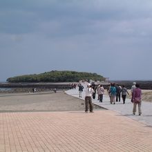 青島で撮影