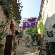 石畳に映える色鮮やかなブーゲンビリア