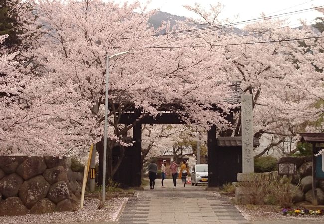 普願寺