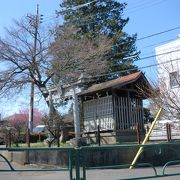 野川公園前にあります。