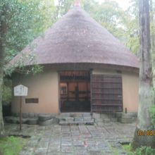 この姿みているだけでやわらぎました。