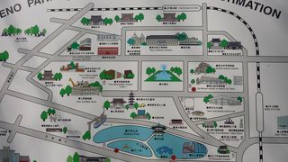 久しぶりです。