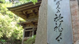 本堂までの登りはきつかったです