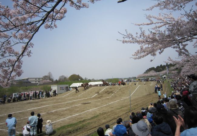 第74回東北輓馬競技大会