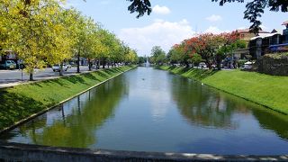 二つの花が美しい