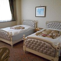 レトロなツインです。