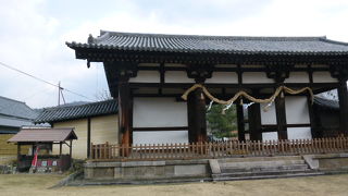 ここまで鹿さんがきています