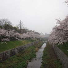 鼎小橋からの定番風景