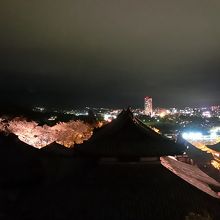 三井寺のライトアップ
