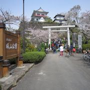 天守閣を模した町立史料館が桜とマッチしています