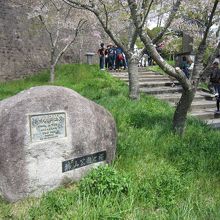 城山公園と桜の碑
