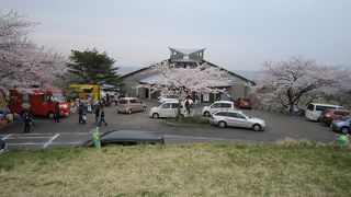 加護坊桜まつり