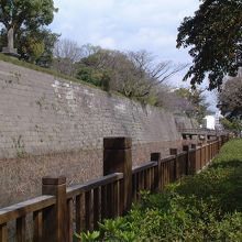 鶴丸城跡で撮影