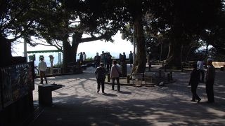 鹿児島・宮崎　(8)　城山展望台（しろやまてんぼうだい）からの景色を楽しむ