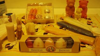 雨の日の観光にぶらり