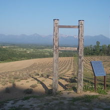 道路を渡った反対側にはビュースポットがあります