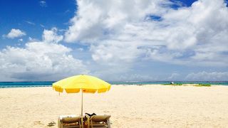 一日あそべます！