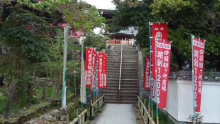 ニャンズがいました！