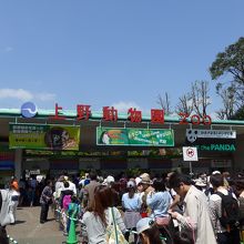 大勢の見物客が訪れています