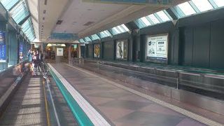 春いっぱいを満喫できました