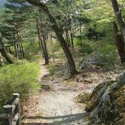 川と緑に囲まれた心地よい公園