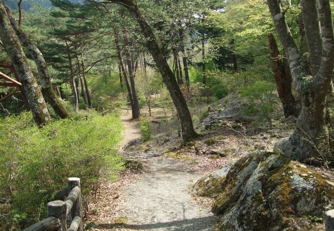 川と緑に囲まれた心地よい公園