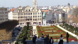 色彩が鮮やか！