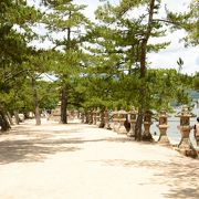 宮島～３～厳島神社を一望「西松原」