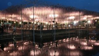 大藤＆つつじ等のライトアップがすごい！