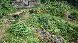 南城：(天国みたい)花が咲き、蝶が優雅に舞う