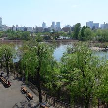 遊歩道から見た不忍池