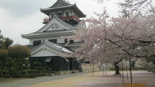 復元の天守閣と表門と櫓があります。