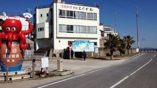 日間賀島　民宿　とくがね