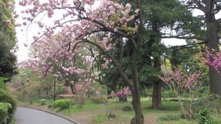 散策もオススメののどかな公園
