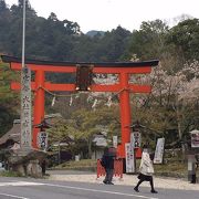 全国の日吉神社の総本山