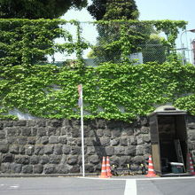 桜田通り側の大使館の様子です。石垣の上の高い柵が目立ちます。