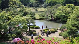 六義園・みどりの日