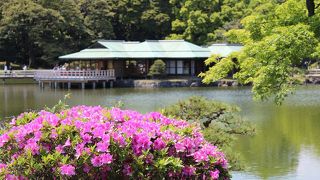 浜離宮恩賜庭園・みどりの日