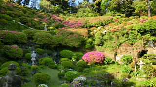 【佛行寺】　〇〇寺　あじさい散策路のつつじ版（笑）
