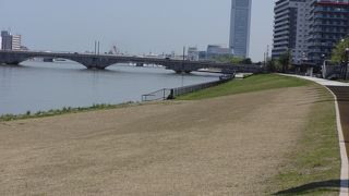 市民の憩いの場って感じです。