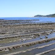 よく見ると、非常に興味深い光景