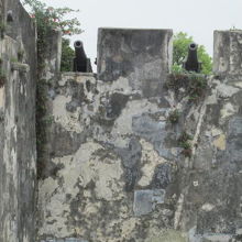 大砲台。モンテの砦、大砲が見えます。