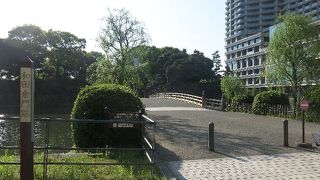 見逃さずにしたい