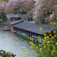 ボート乗り場は半蔵門駅からも九段下駅からも10分程度です