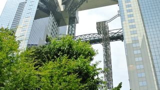 スカイビルを下から見られる立地