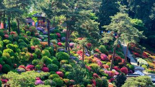 関東一の躑躅の名所