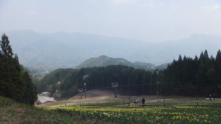 関東平野北部の山です。